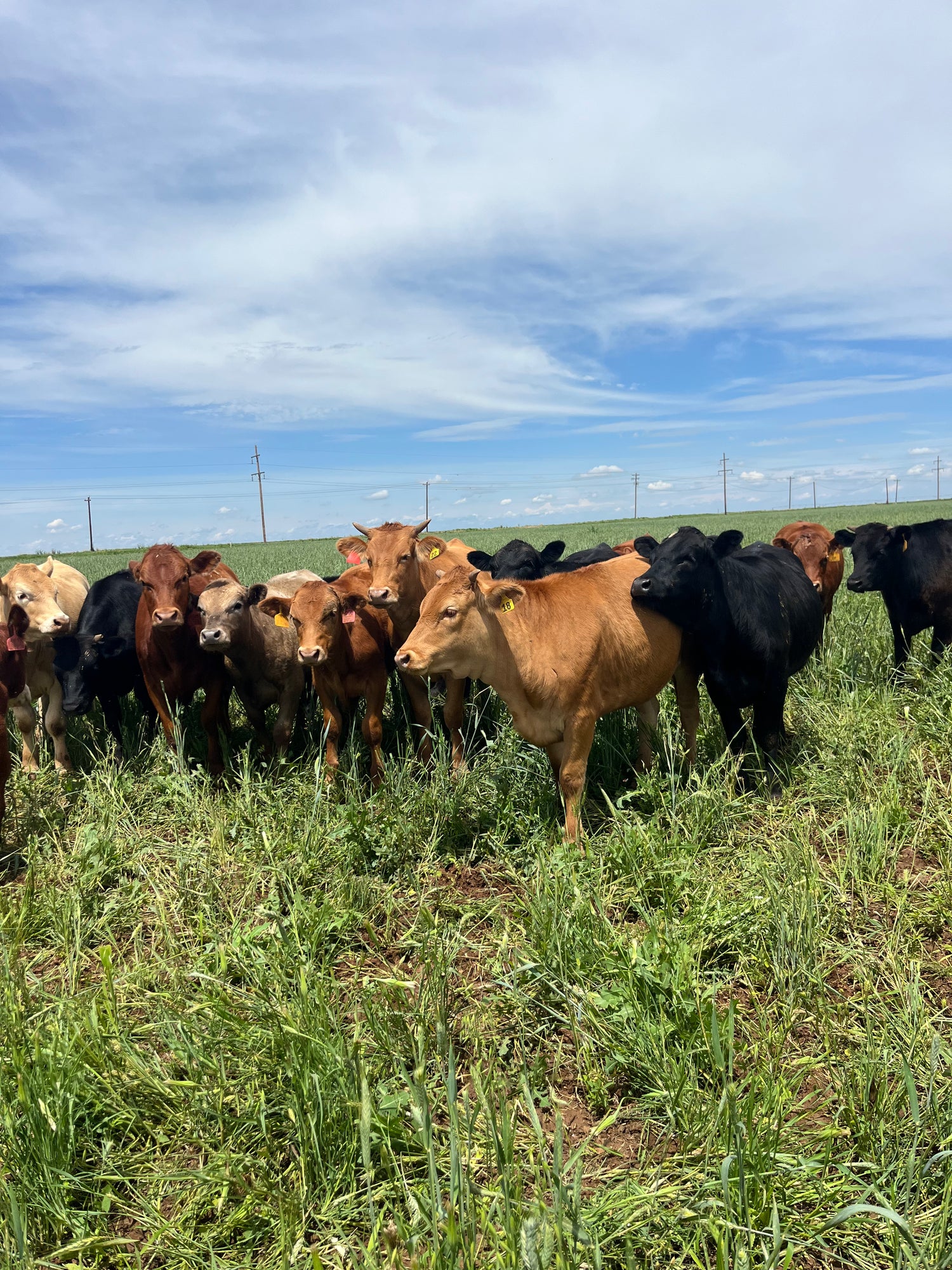 IMG_3313.HEIC__PID:5afc31bc-8841-4bbc-888d-4a8c28627f45